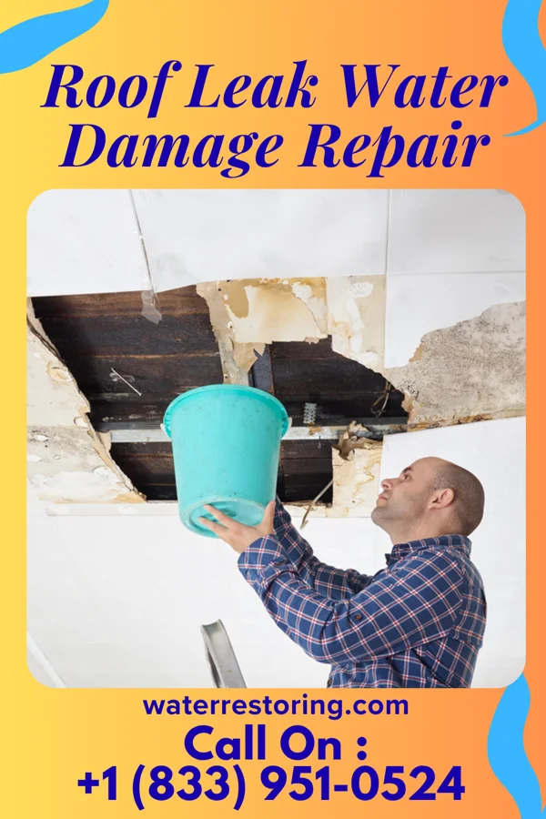 Roof Leak Water Damage Repair in Westmont, PA