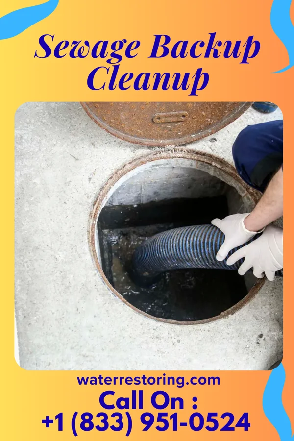 Sewage Backup Cleanup in Westmont, PA