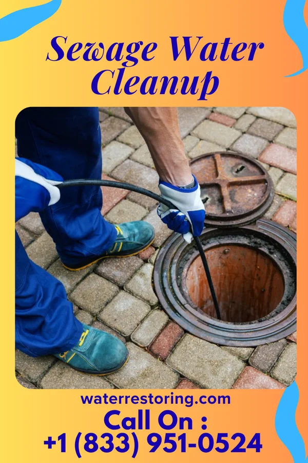 Sewage Water Cleanup in Westmont, PA